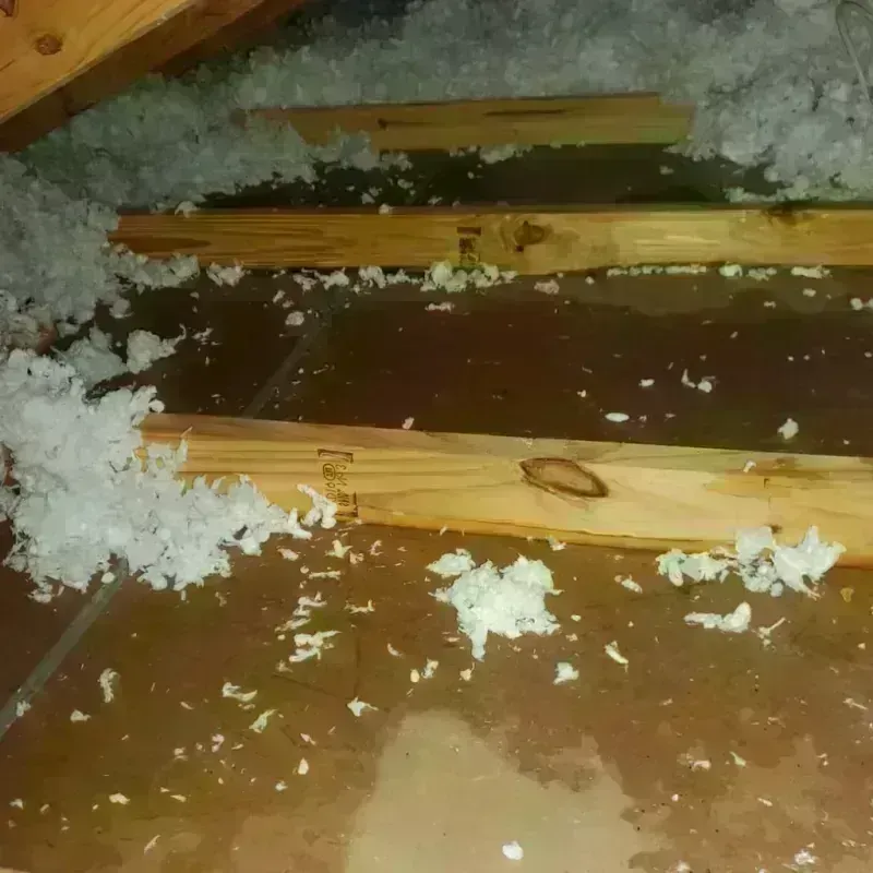 Attic Water Damage in South Boston, MA