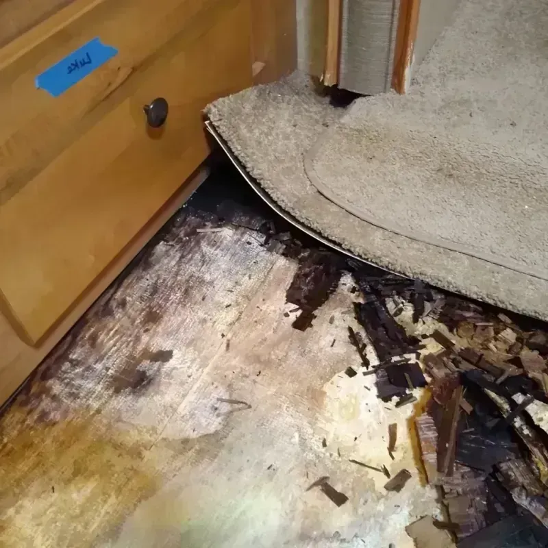 Best Wood Floor Water Damage Service in South Boston, MA